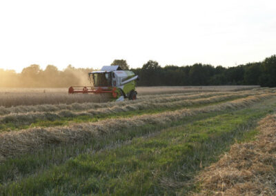 Landwirtschaft Bio Bauernhof