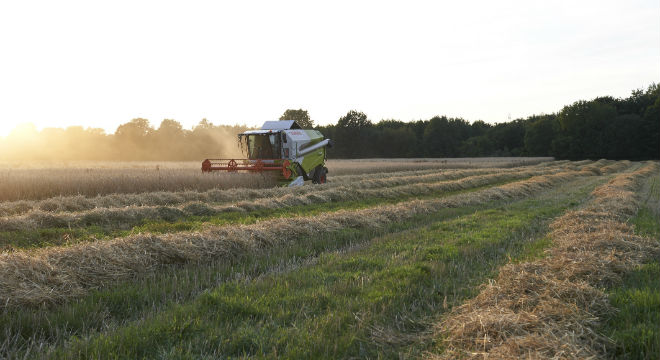 Landwirtschaft Bio Bauernhof