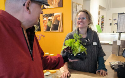 Mitarbeiter Vorstellung: Jolke