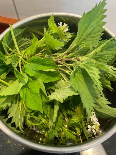 Brennesselsuppe