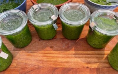 Kräuterpesto – frisch, bunt & unglaublich vielseitig