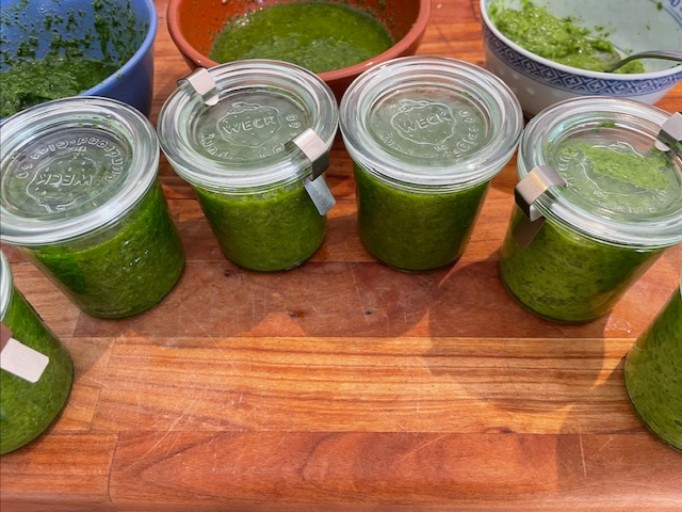 Kräuterpesto – frisch, bunt & unglaublich vielseitig